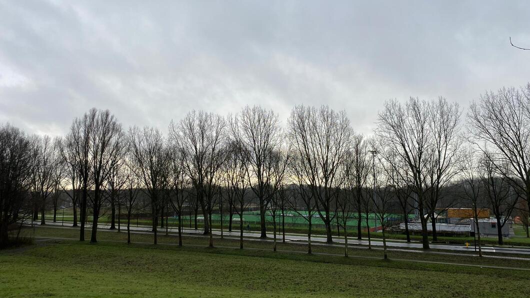 sportpark Elsenburg in aanbouw met rij bomen ervoor, in februari 2021