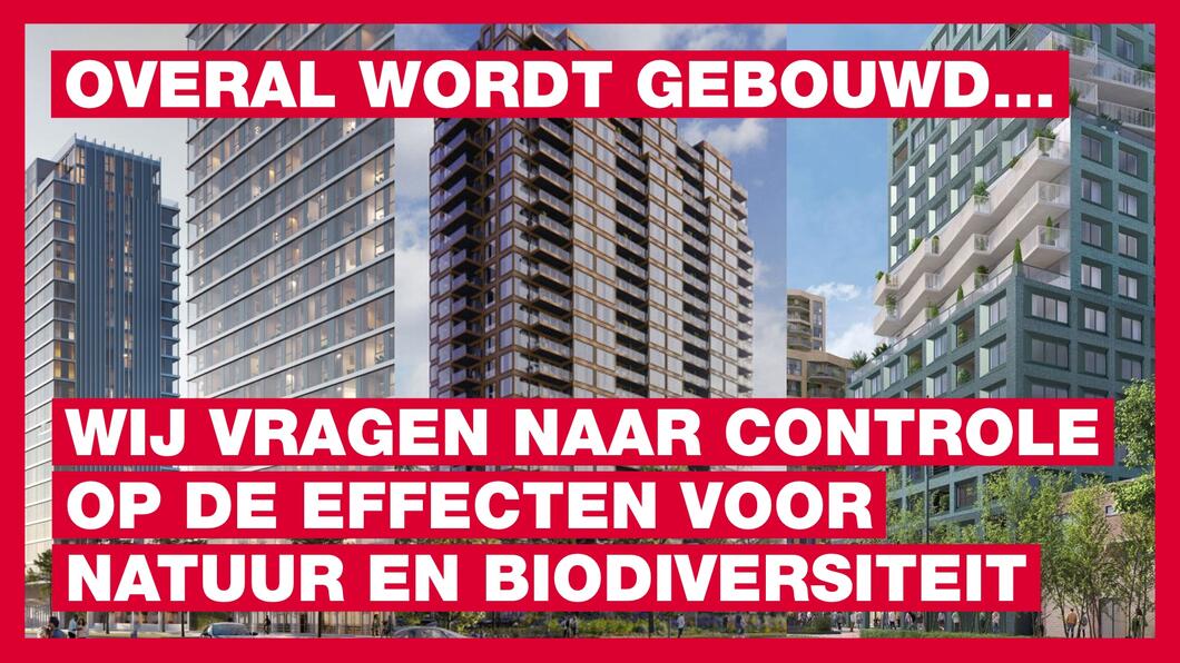 Artikel 44 vragen