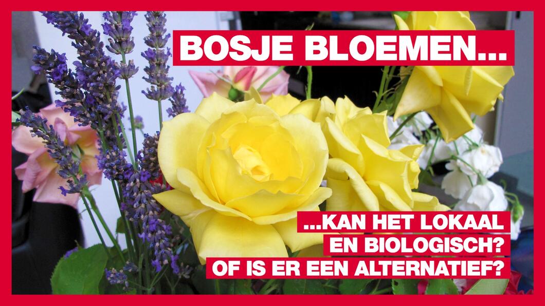Bloemen biologisch