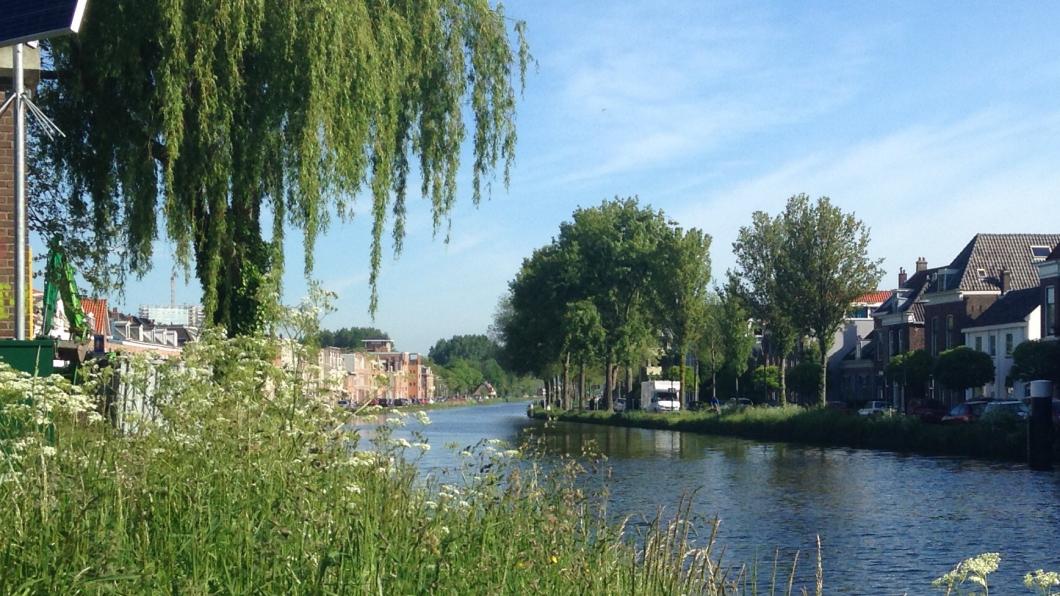 Bomen en groen langs de Vliet