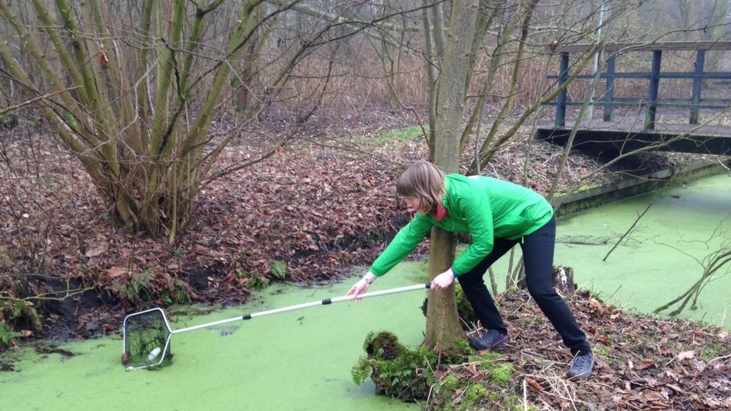 GroenLinks Rijswijk - Opruimactie zwerfvuil groot succes - Marieke Alberts in actie.jpg