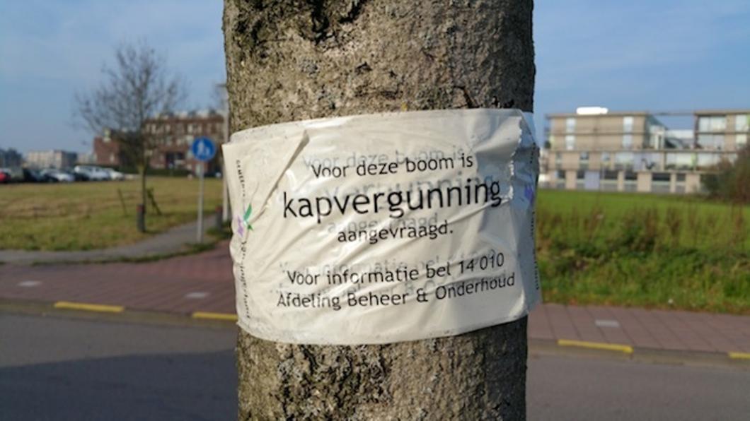 Markering kapvergunning