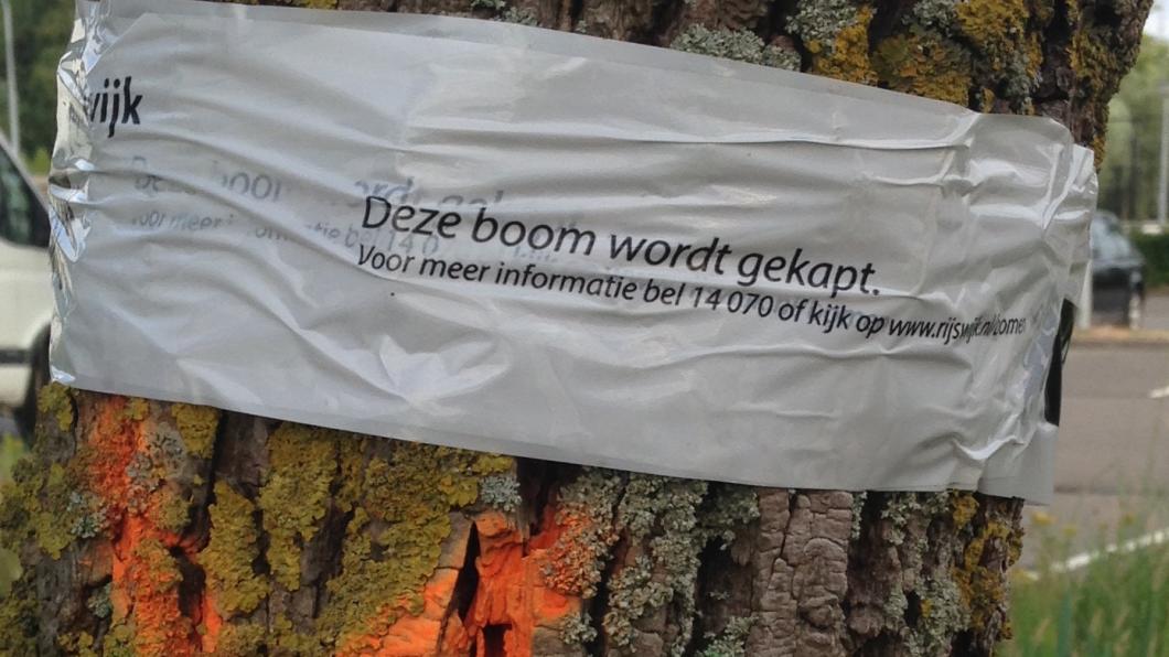 Markering boom die wordt gekapt