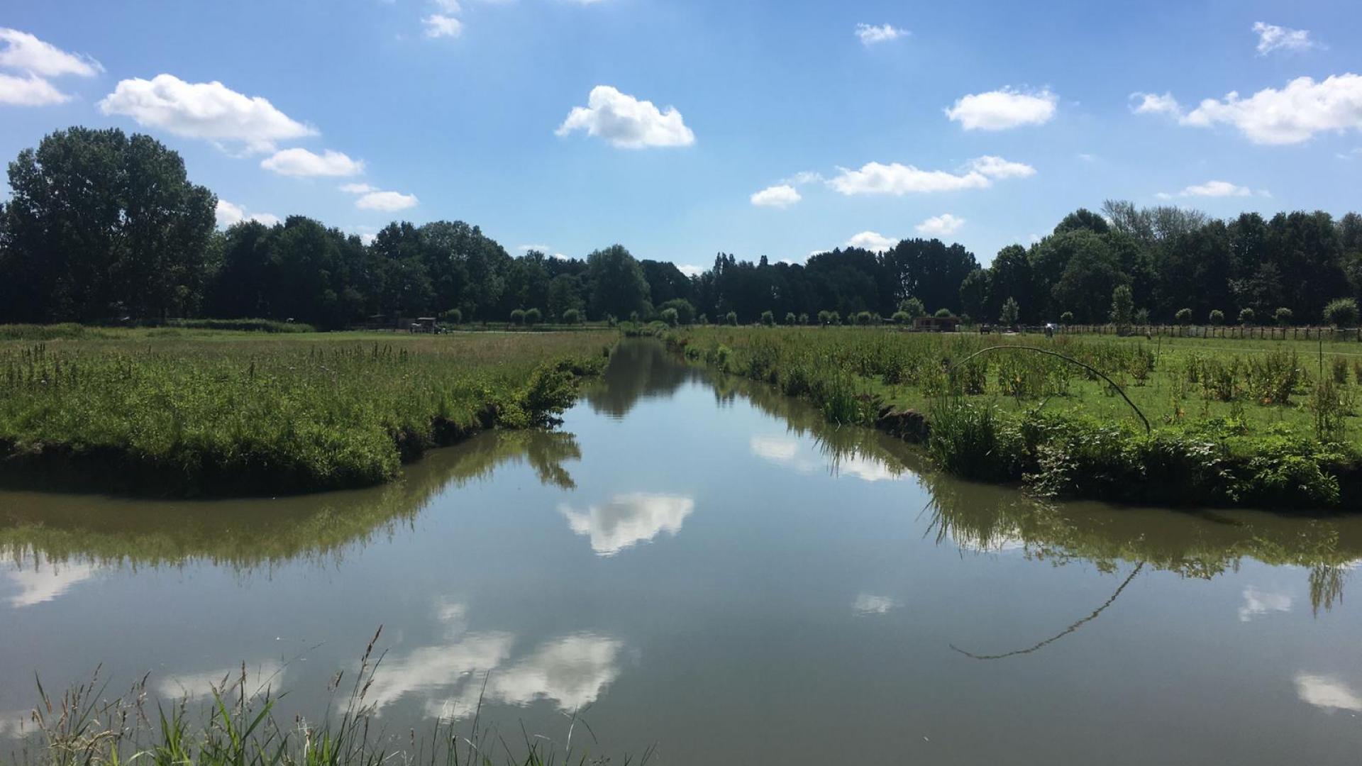 Het slagenlandschap in Pasgeld