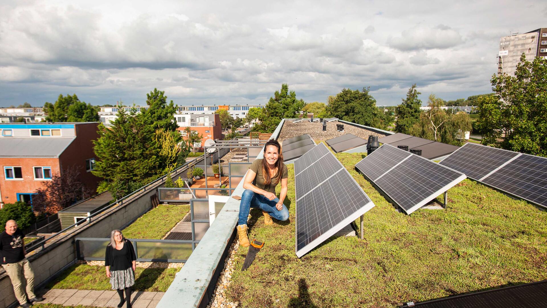 zonnepanelen