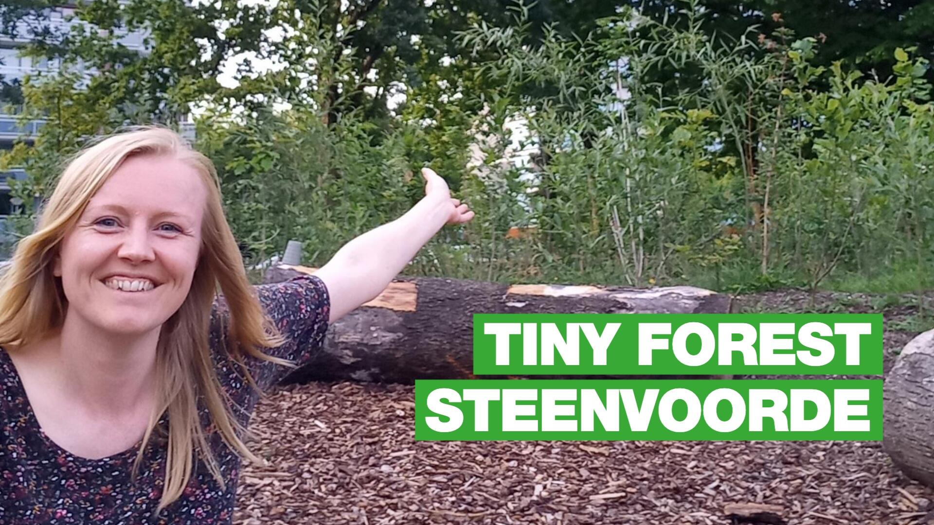 Tiny Forest Steenvoorde