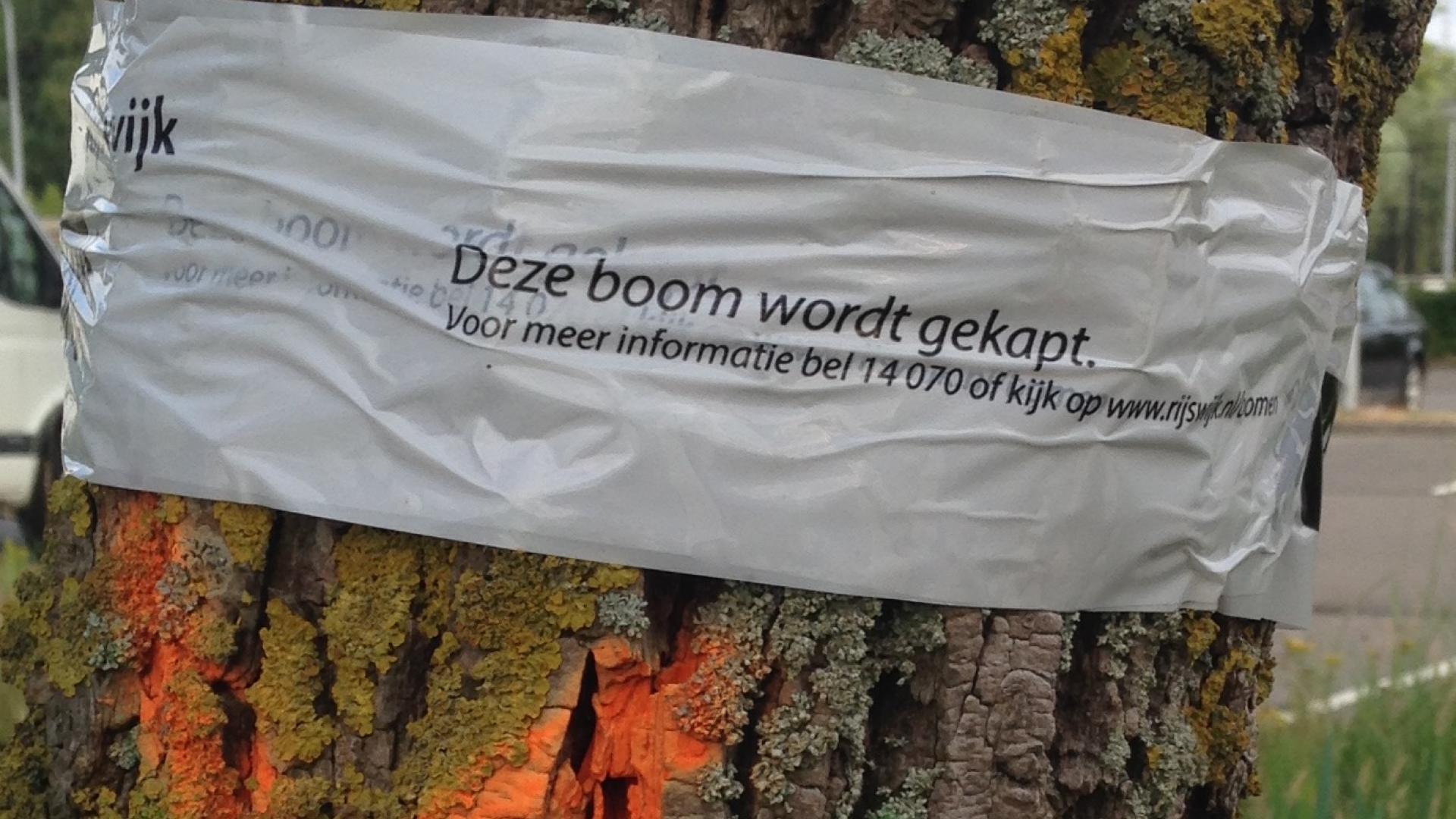 Markering boom die wordt gekapt